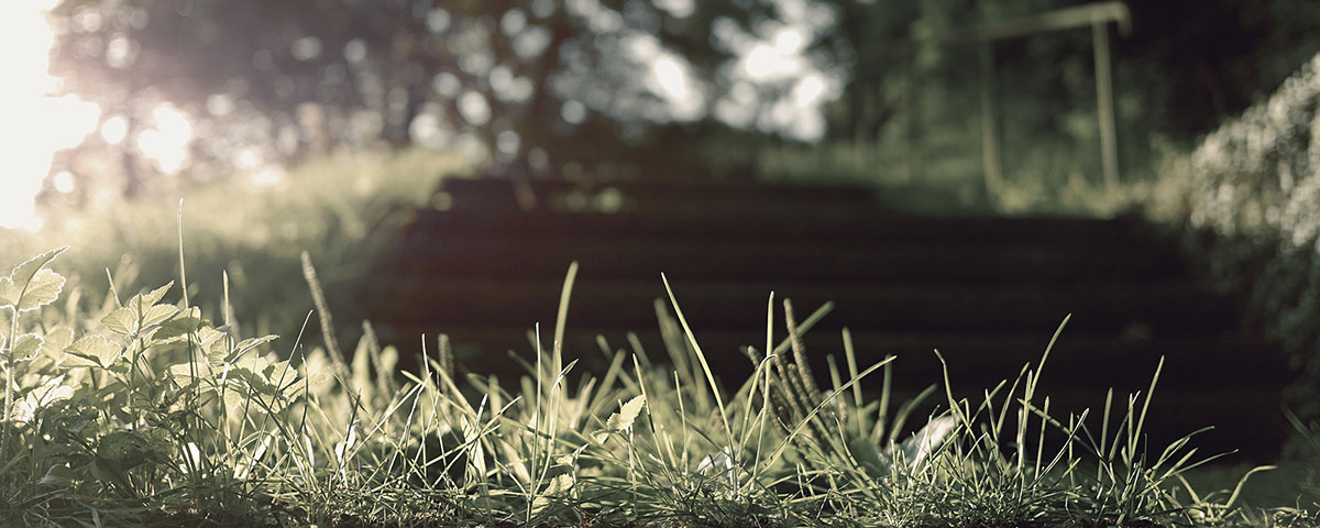 PhotoGroup Header